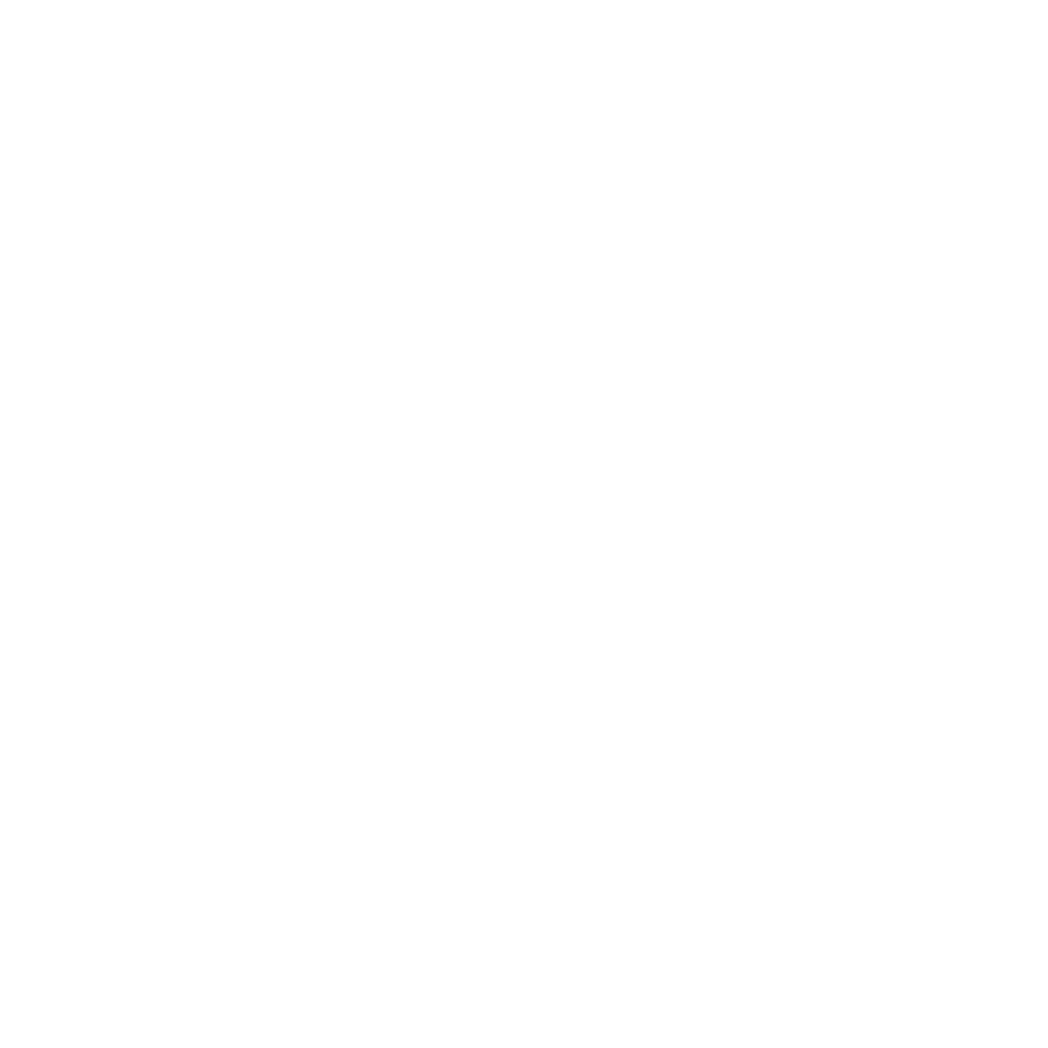Cross_icon_(white).svg